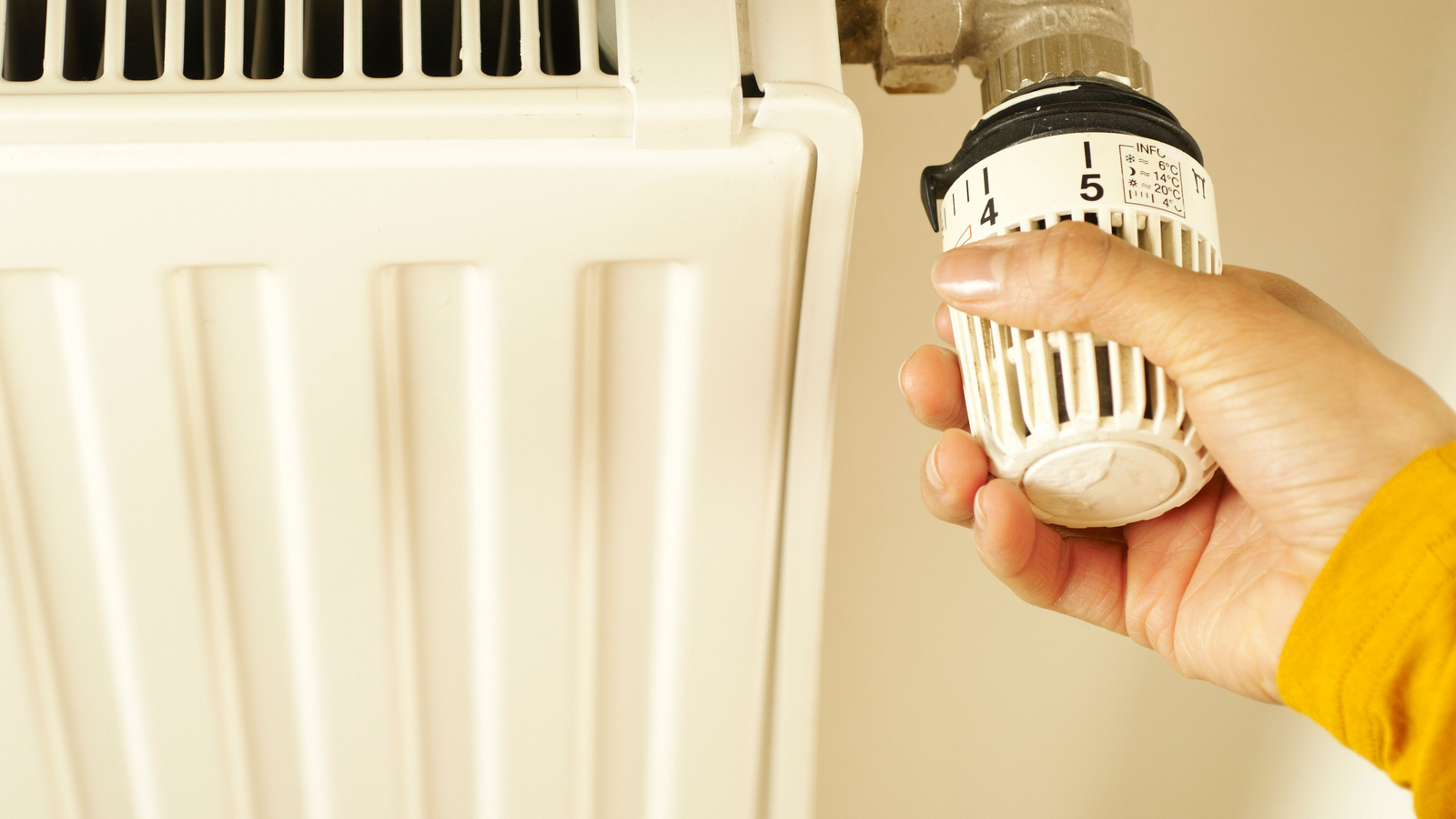 Heizkörper mit Thermostatventil in einem Wohnraum
